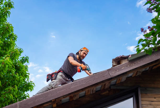 Best Skylight Installation and Repair  in Wickenburg, AZ